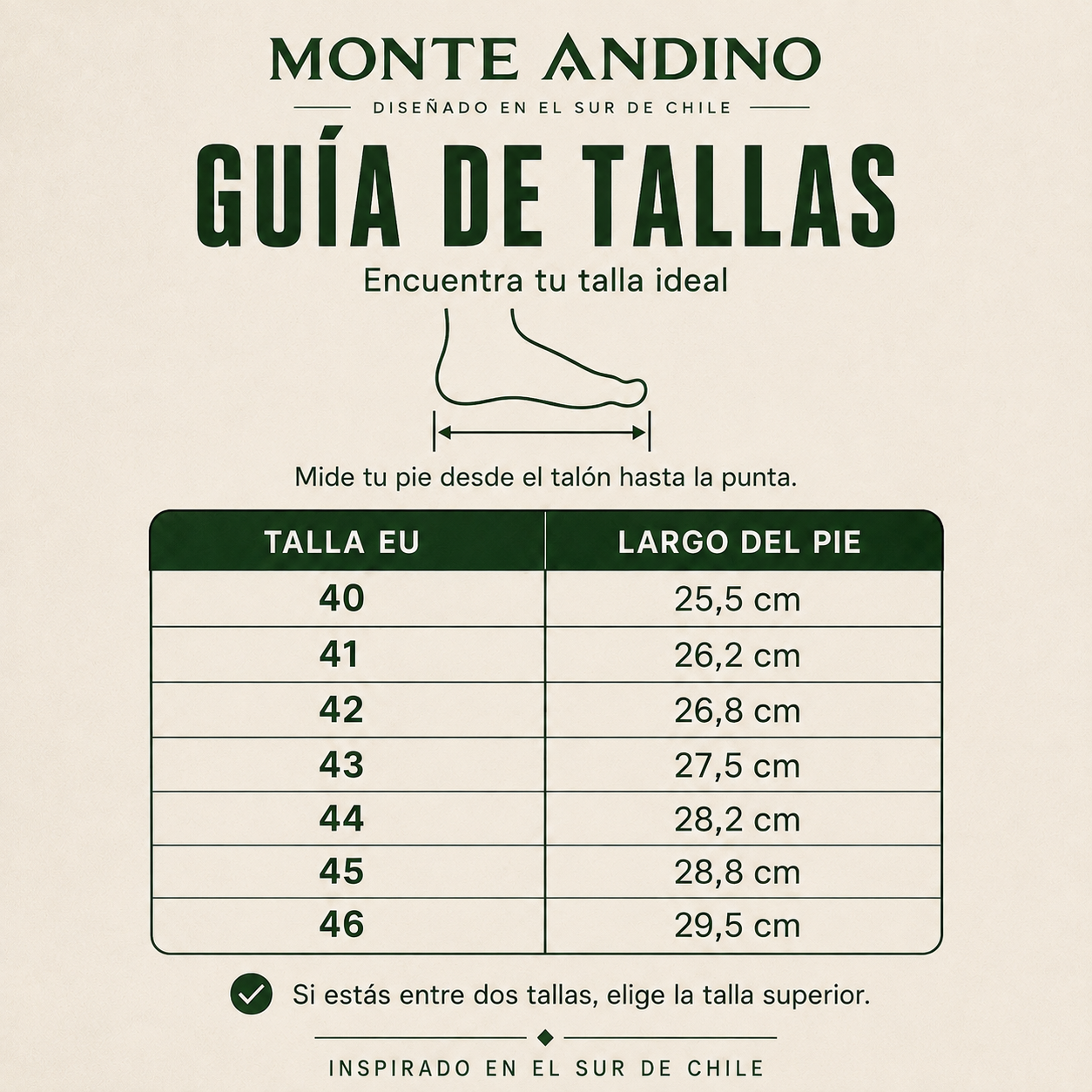 Botín Chelsea - Temporada invierno 2026